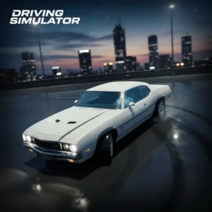 Driving Simulator